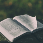 Open Bible Image