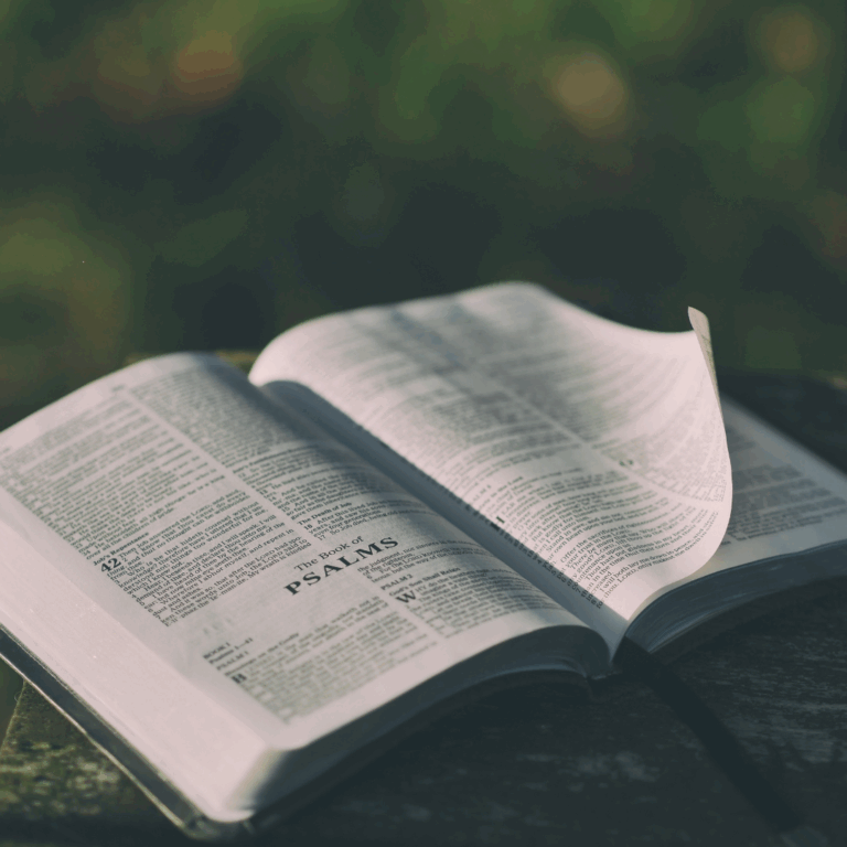 Open Bible Image