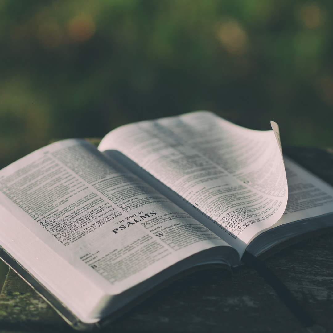 Open Bible Image
